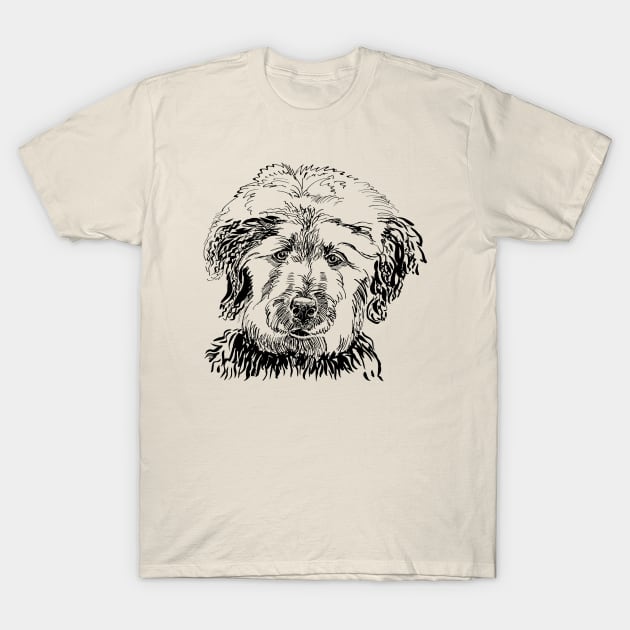 labradoodle portrait T-Shirt by VicaVeresk